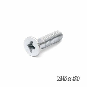 Torn Phill c/fres Zinc M5 x 30