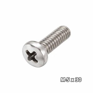 Torn Phill c/fijad Zinc M5 x 30