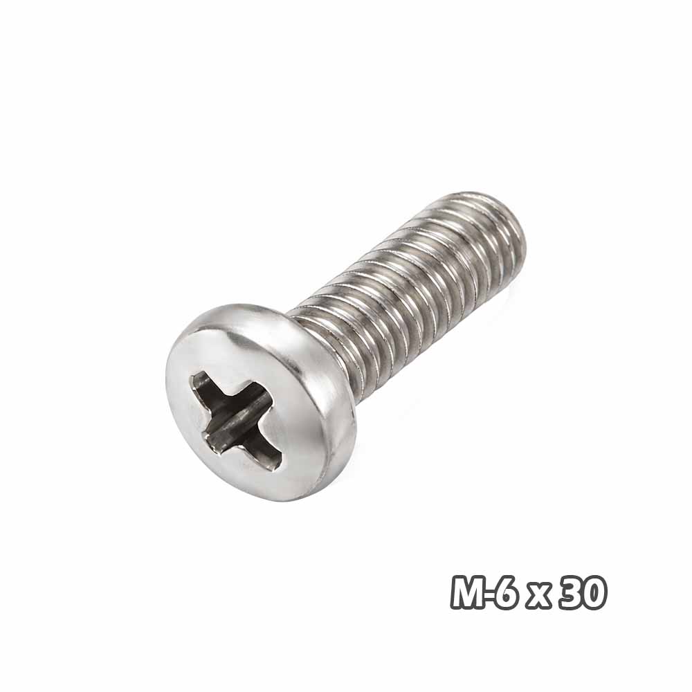 Torn Phill c/fijad Zinc M6 x 30