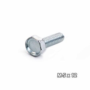 Torn c/hexag Zinc M5 x 12