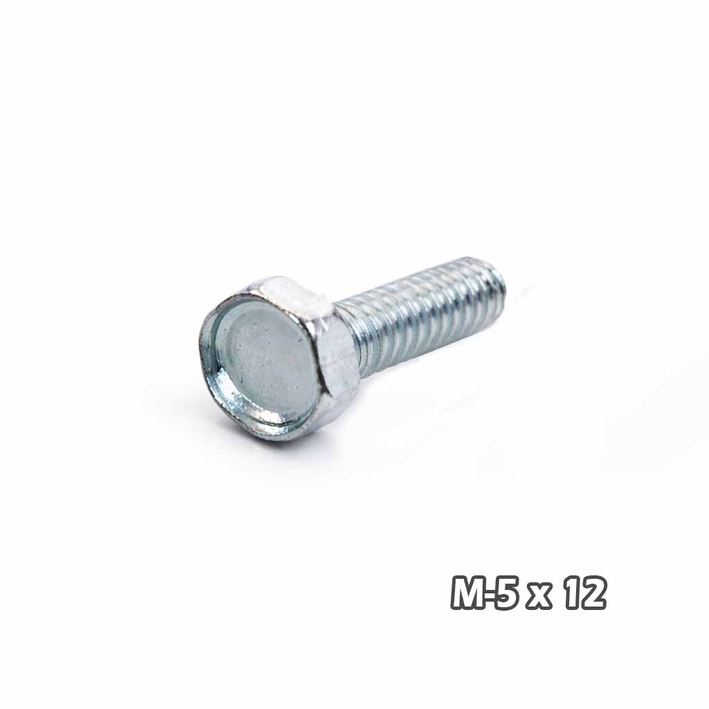 Torn c/hexag Zinc M5 x 12